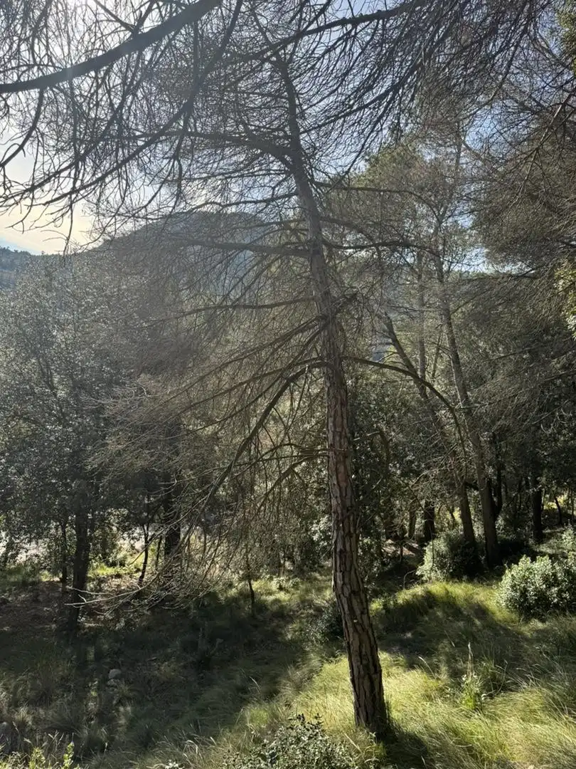 Außenansicht von Bebaubares Gelände zum Verkauf in Sant Martí de Centelles