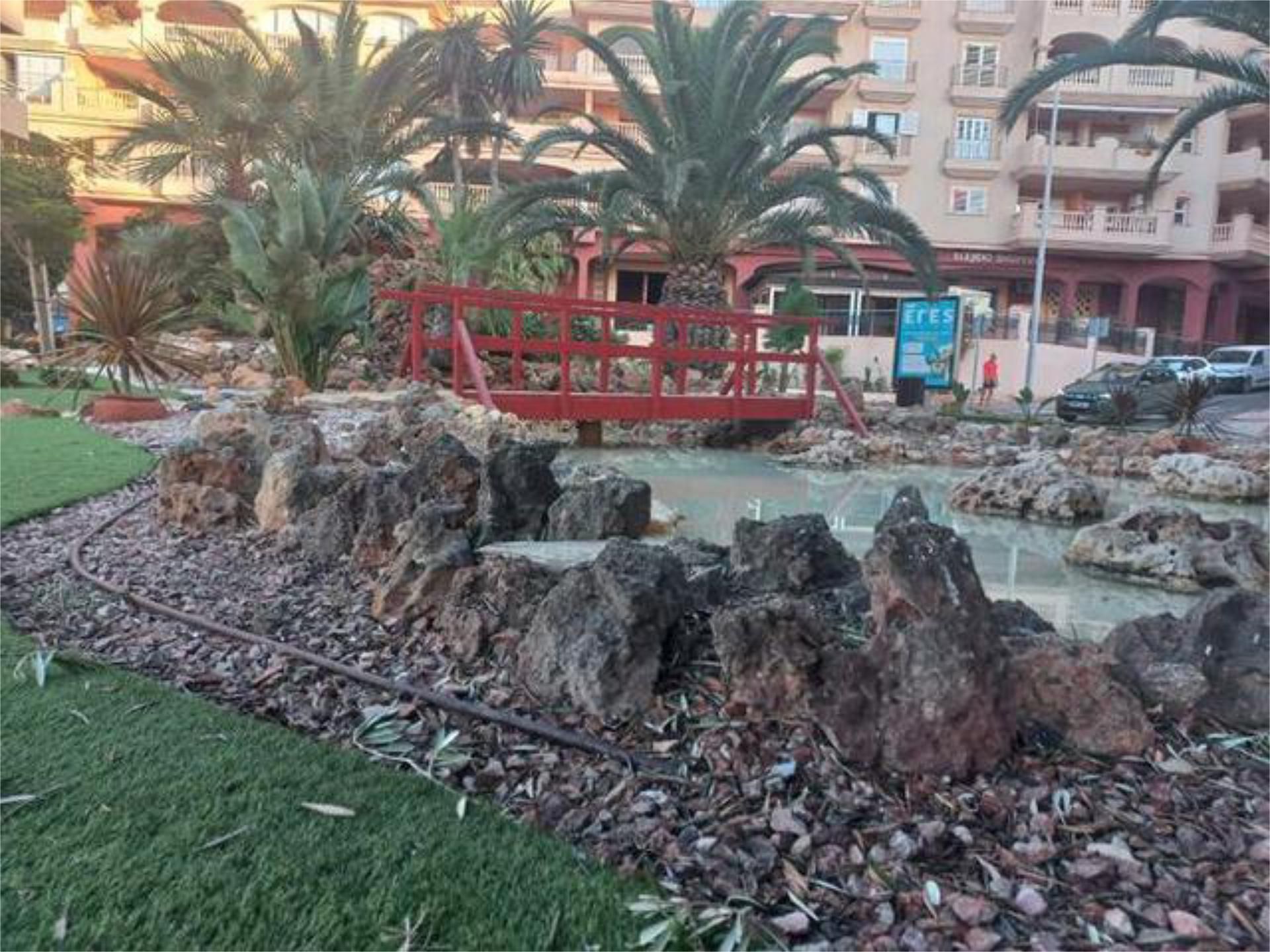 Garden of Box room to rent in El Ejido
