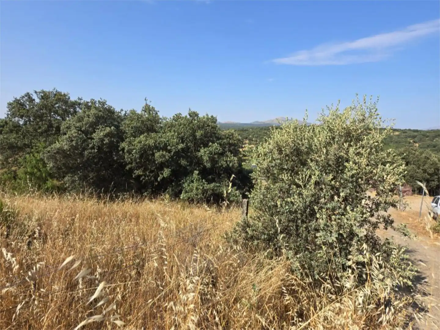 No Urbanitzable en venda a Diseminado Arroyo Prados, 2, Pedrezuela No Urbanitzable en venda en Pedrezuela