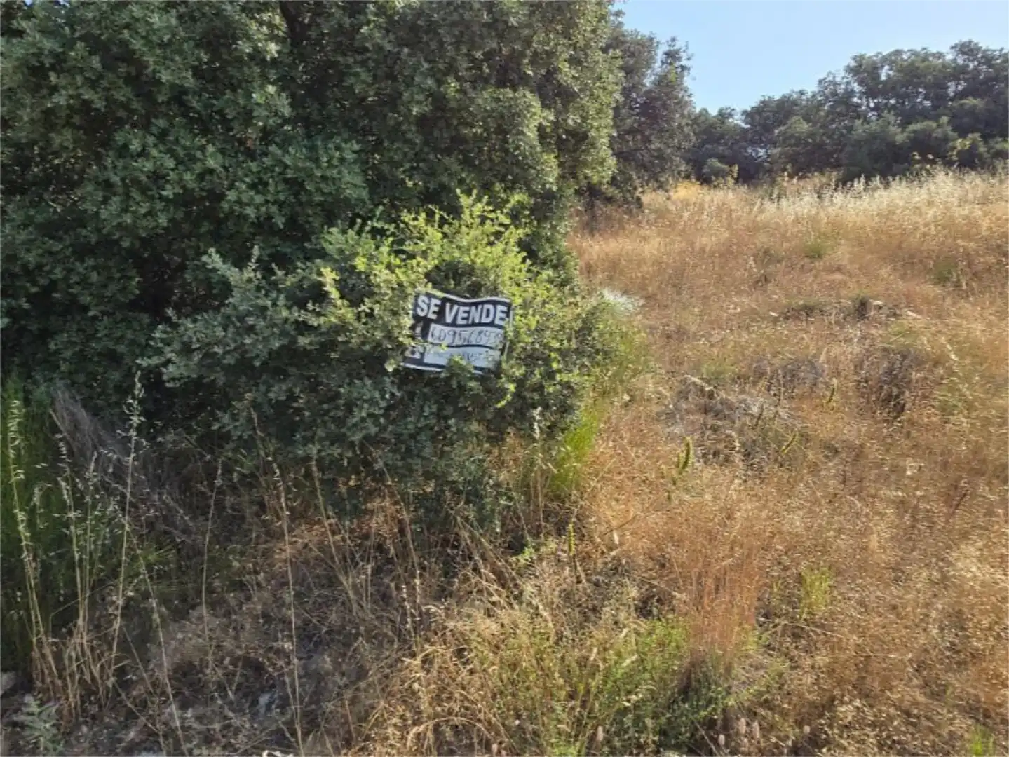 No Urbanitzable en venda a Diseminado Arroyo Prados, 2, Pedrezuela No Urbanitzable en venda en Pedrezuela