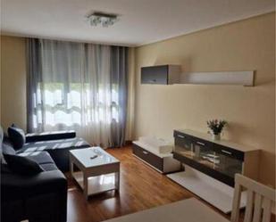 Sala d'estar de Pis de lloguer en  Logroño amb Calefacció, Jardí privat i Traster
