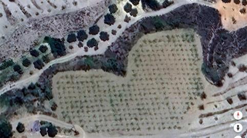 Non-constructible Land to rent in Calle de Nogalte, 62, San José, Murcia - image 3 Photo 3 of Non-constructible Land to rent in Calle de Nogalte, 62, San José, Murcia