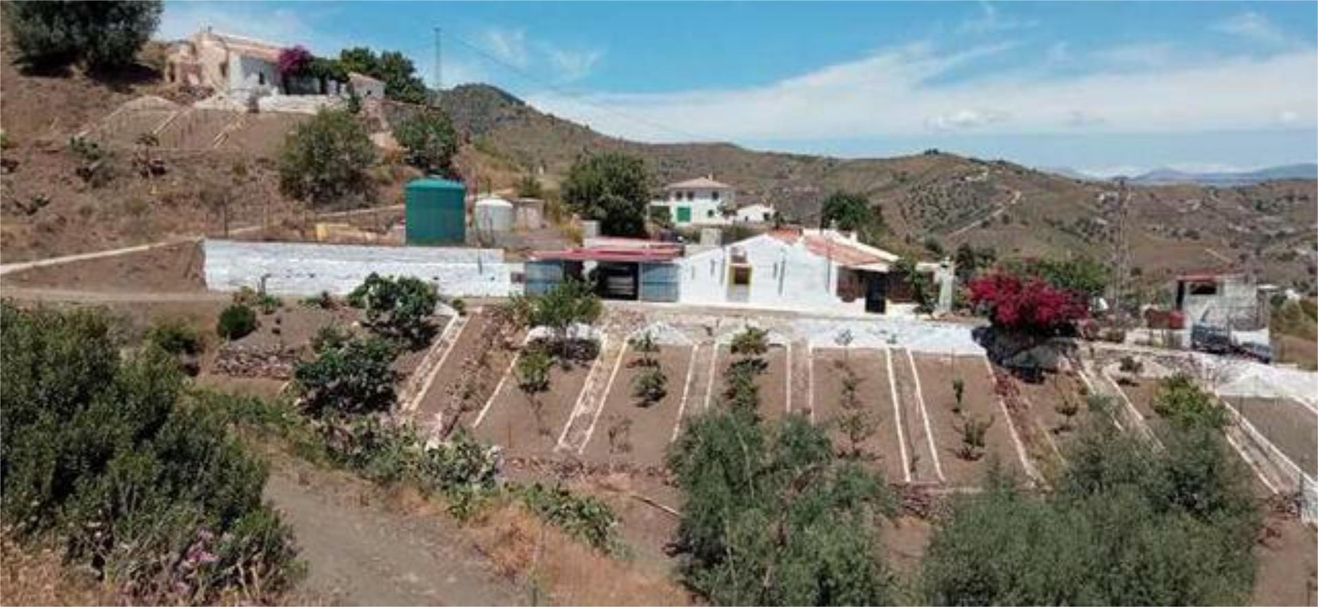 Garden of House or chalet for sale in Benamargosa