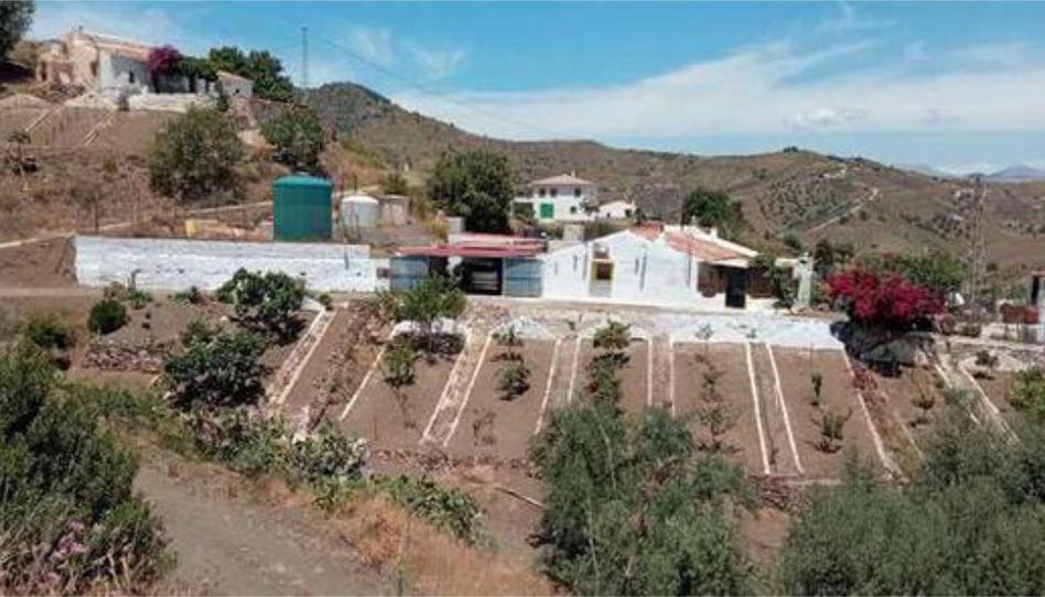 House or chalet for sale in Benamargosa, Málaga - image 1 Photo 1 of House or chalet for sale in Benamargosa, Málaga