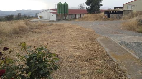 No Urbanizable en venta en Cv-239, 2, Toràs, Castellón - imagen 5 Foto 5 de No Urbanizable en venta en Cv-239, 2, Toràs, Castellón