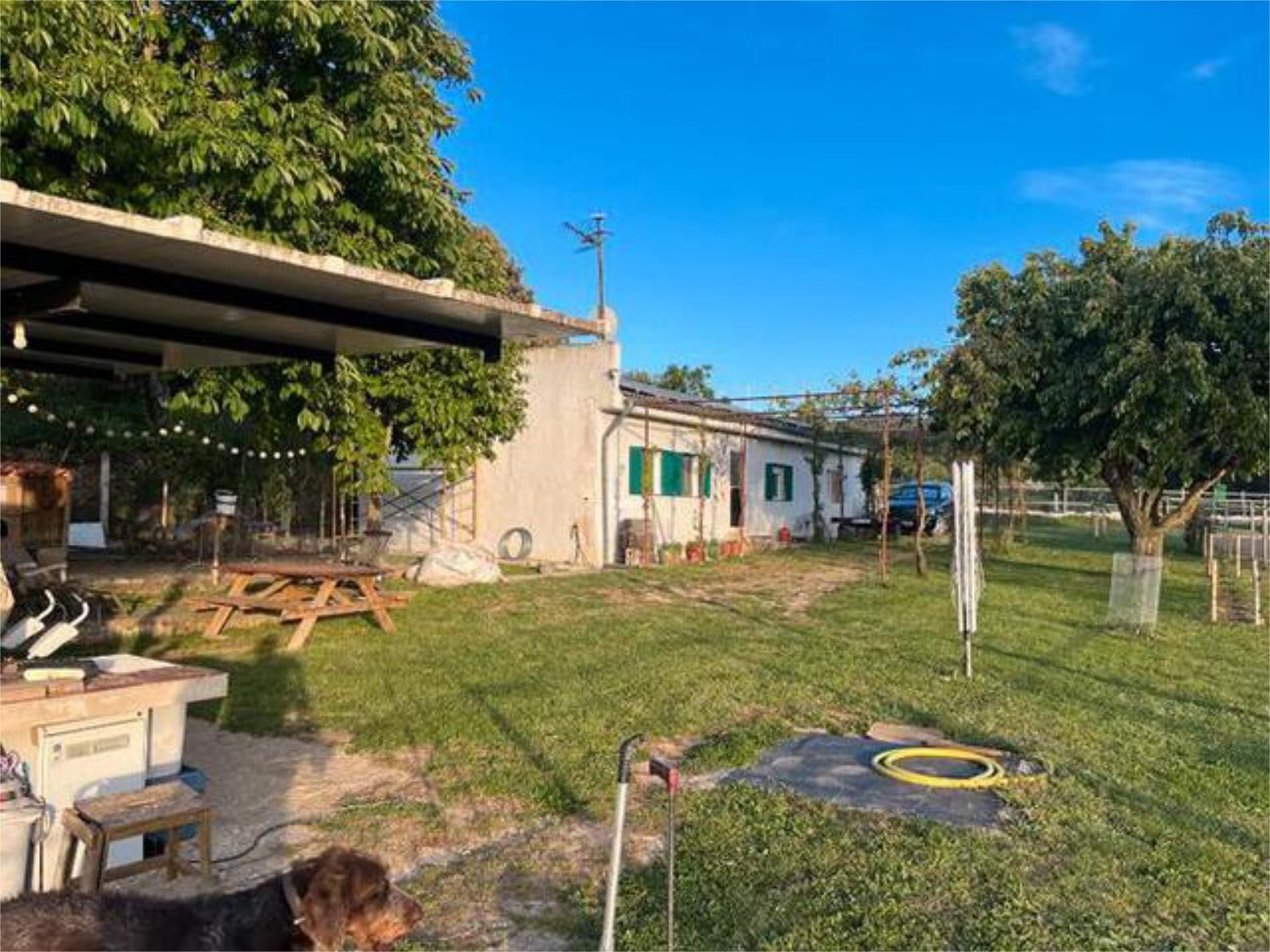 Garden of House or chalet for sale in Pueyo