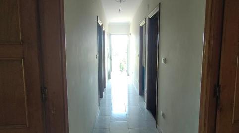 Foto 4 de Finca rústica en venda a Blanco Penelas, 16, Rairiz de Veiga, Ourense