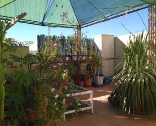 Terrassa de Dúplex en venda en Coria del Río amb Terrassa i Balcó