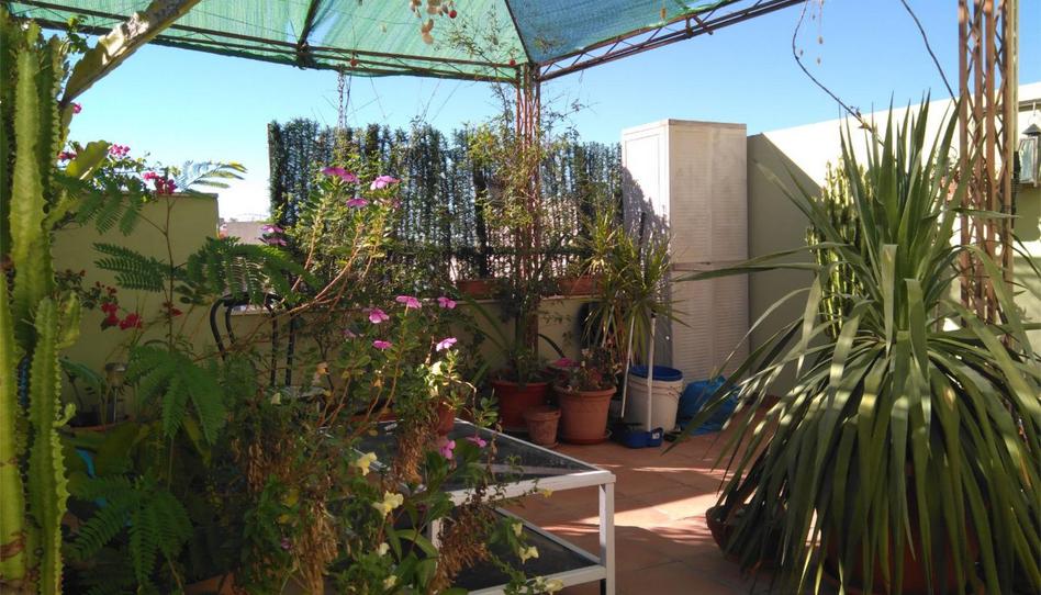 Dúplex en venda a Avenida Palomares, 4, Coria del Río, Sevilla - imatge 1 Foto 1 de Dúplex en venda a Avenida Palomares, 4, Coria del Río, Sevilla