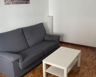 Living room of Flat to rent in A Coruña Capital   with Heating, Parquet flooring and Furnished