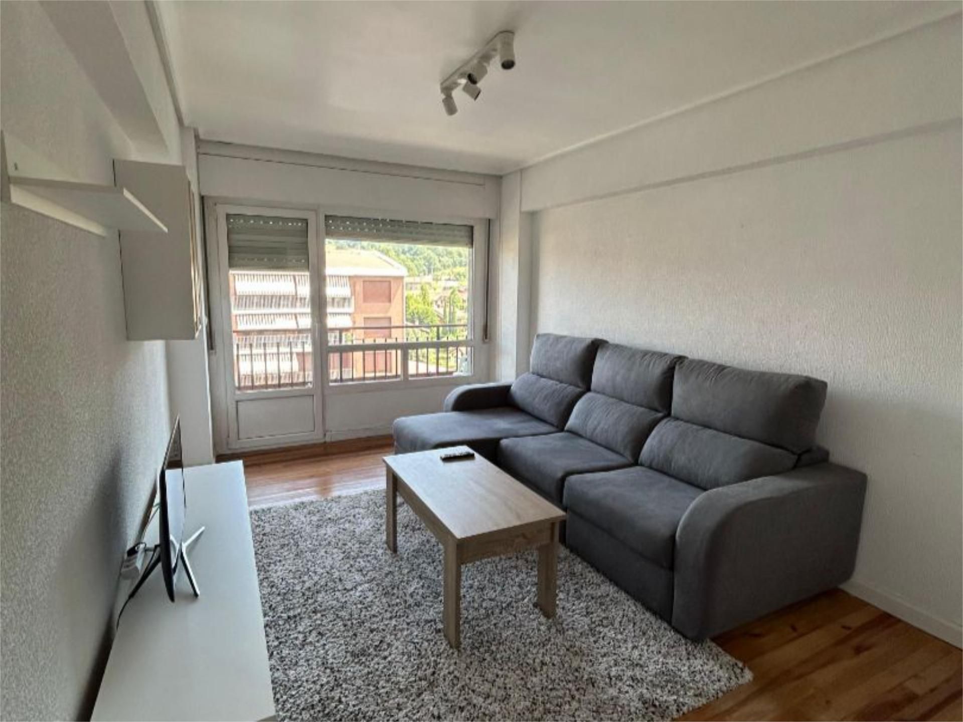 Living room of Flat to rent in Barrundia