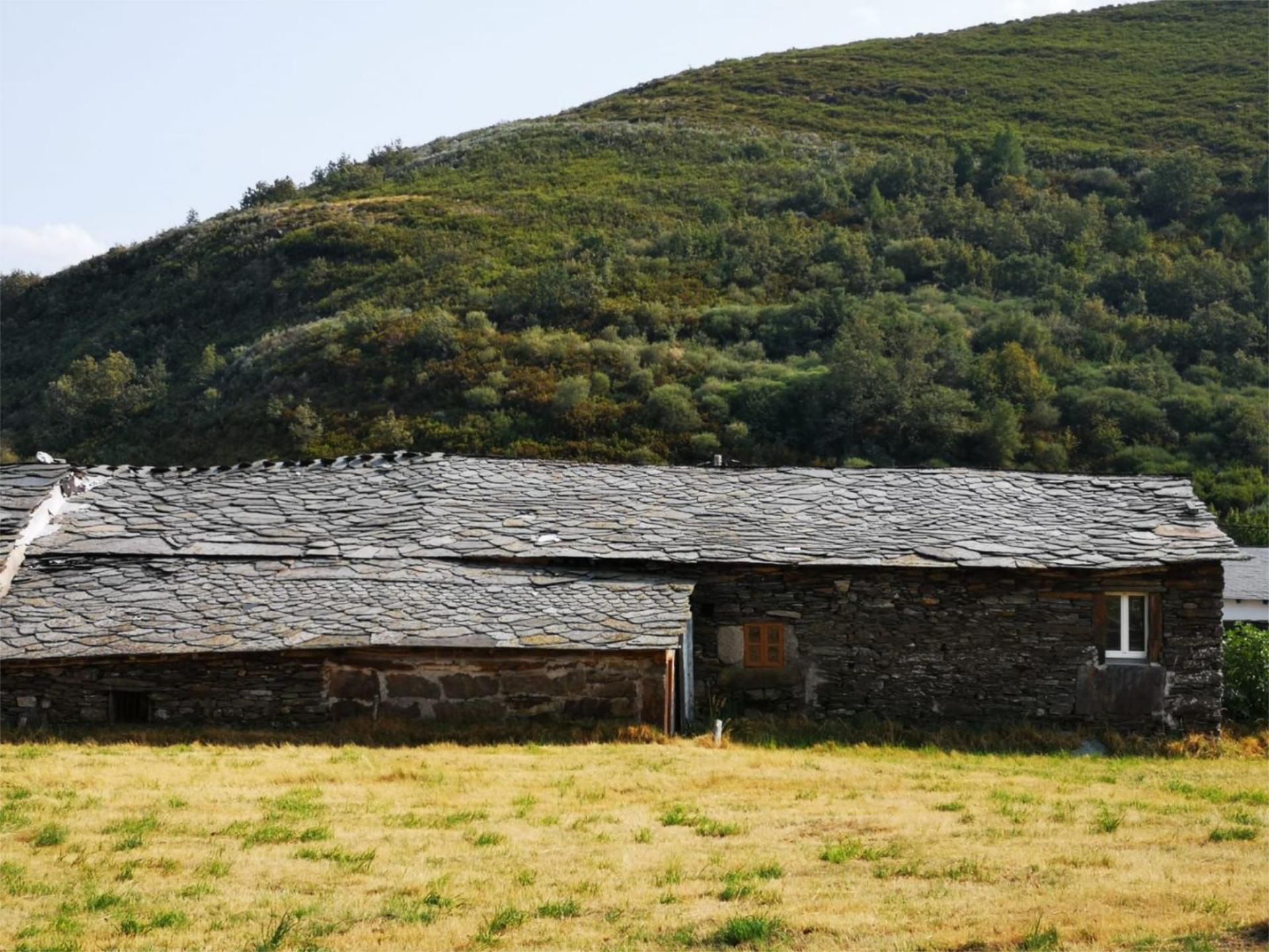 Exterior view of House or chalet for sale in Vilariño de Conso