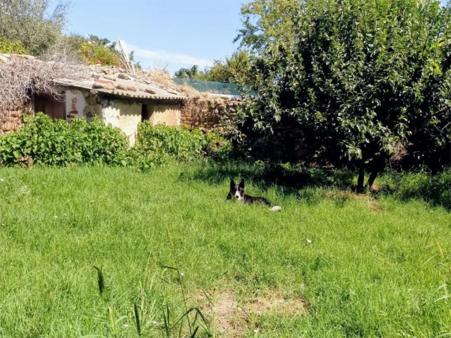Casa o chalet en venta en Lagunilla del Jubera