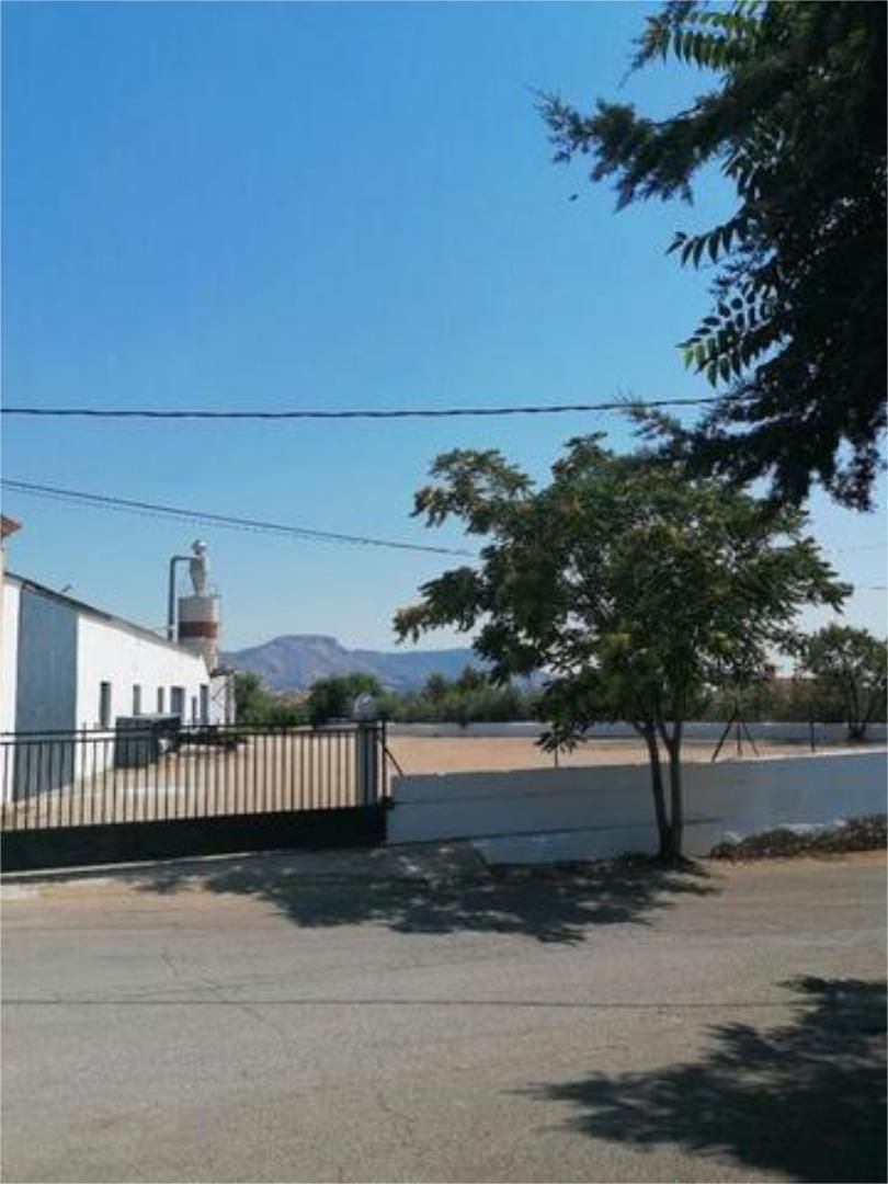 Vista exterior de Nau industrial de lloguer en Vélez-Rubio