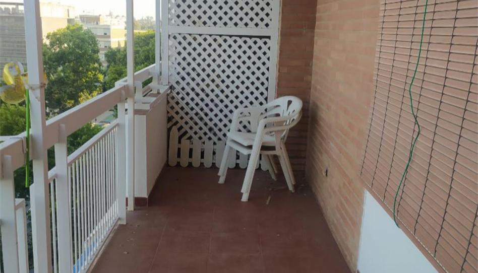 Foto 1 de Pis de lloguer a Avenida de la Reina Mercedes, 19, Sector Sur  - La Palmera - Reina Mercedes, Sevilla