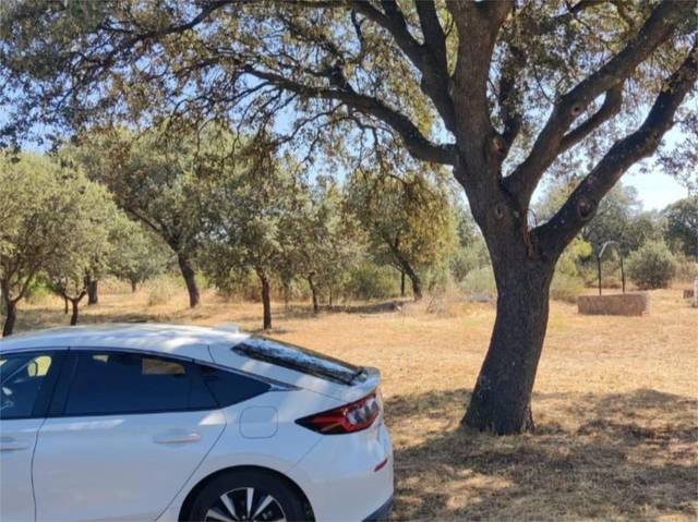 Terreno urbanizable en Venta en Calle Chipre, 8 en Larache