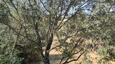 Photo 2 of Constructible Land for sale in Calle Chipre, 8, Larache, Ciudad Real