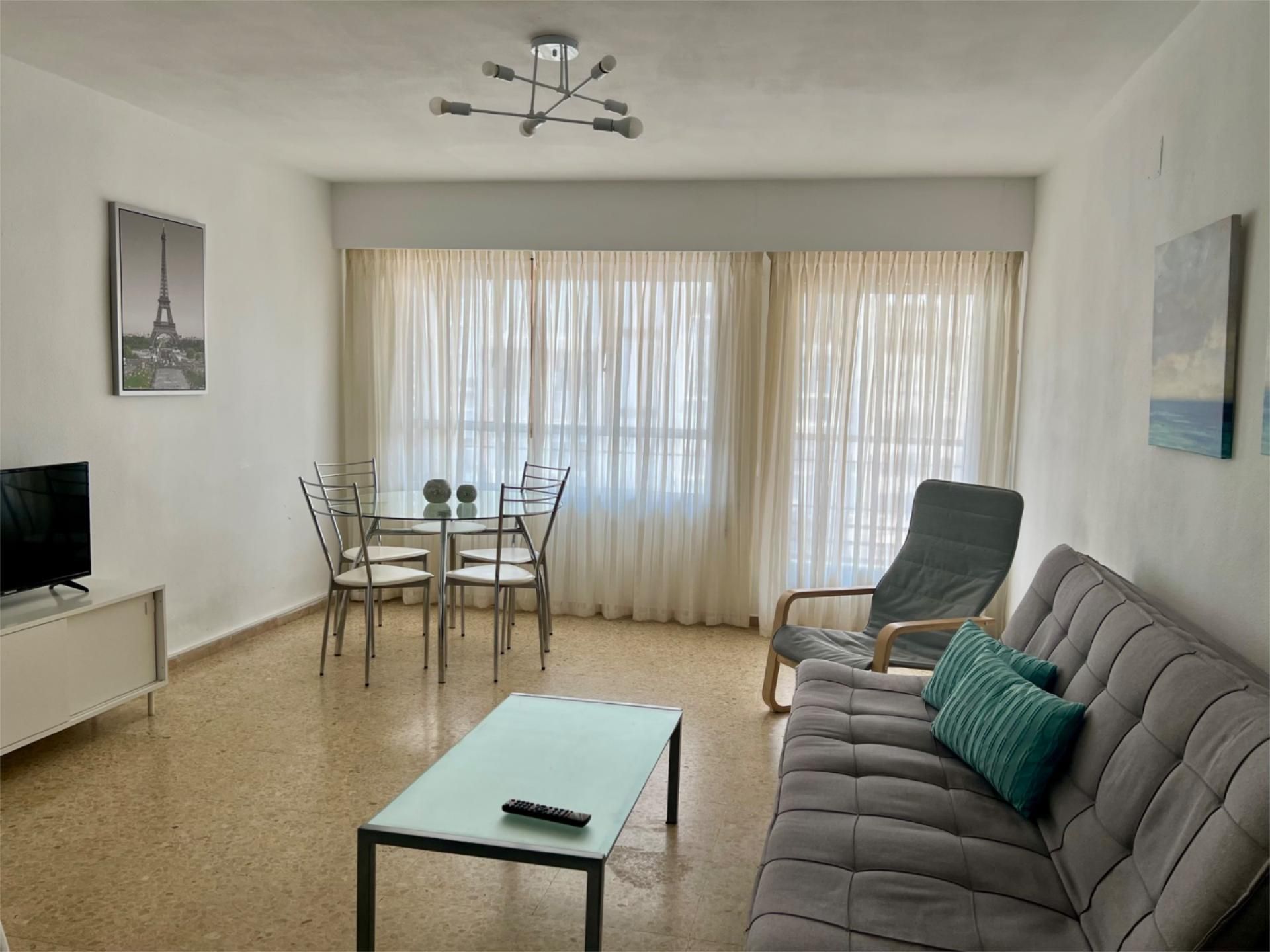 Living room of Flat to rent in  Valencia Capital  with Heating, Terrace and Furnished