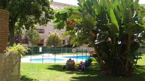 Photo 2 of Flat to rent in Avenida Plutarco, 59, El Cónsul - Ciudad Universitaria - El Romeral, Málaga