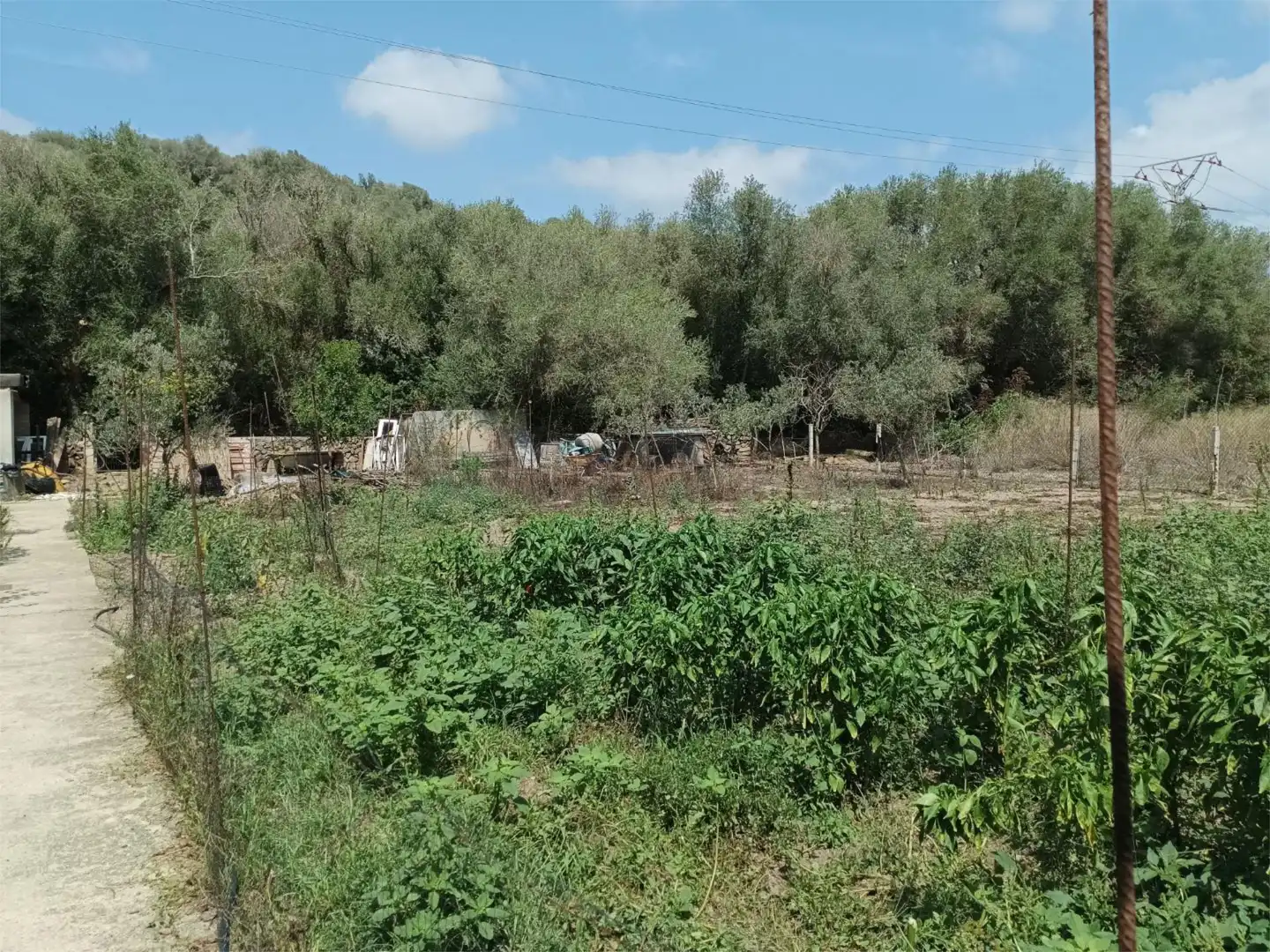 Traster en venda en Maó - Mahón