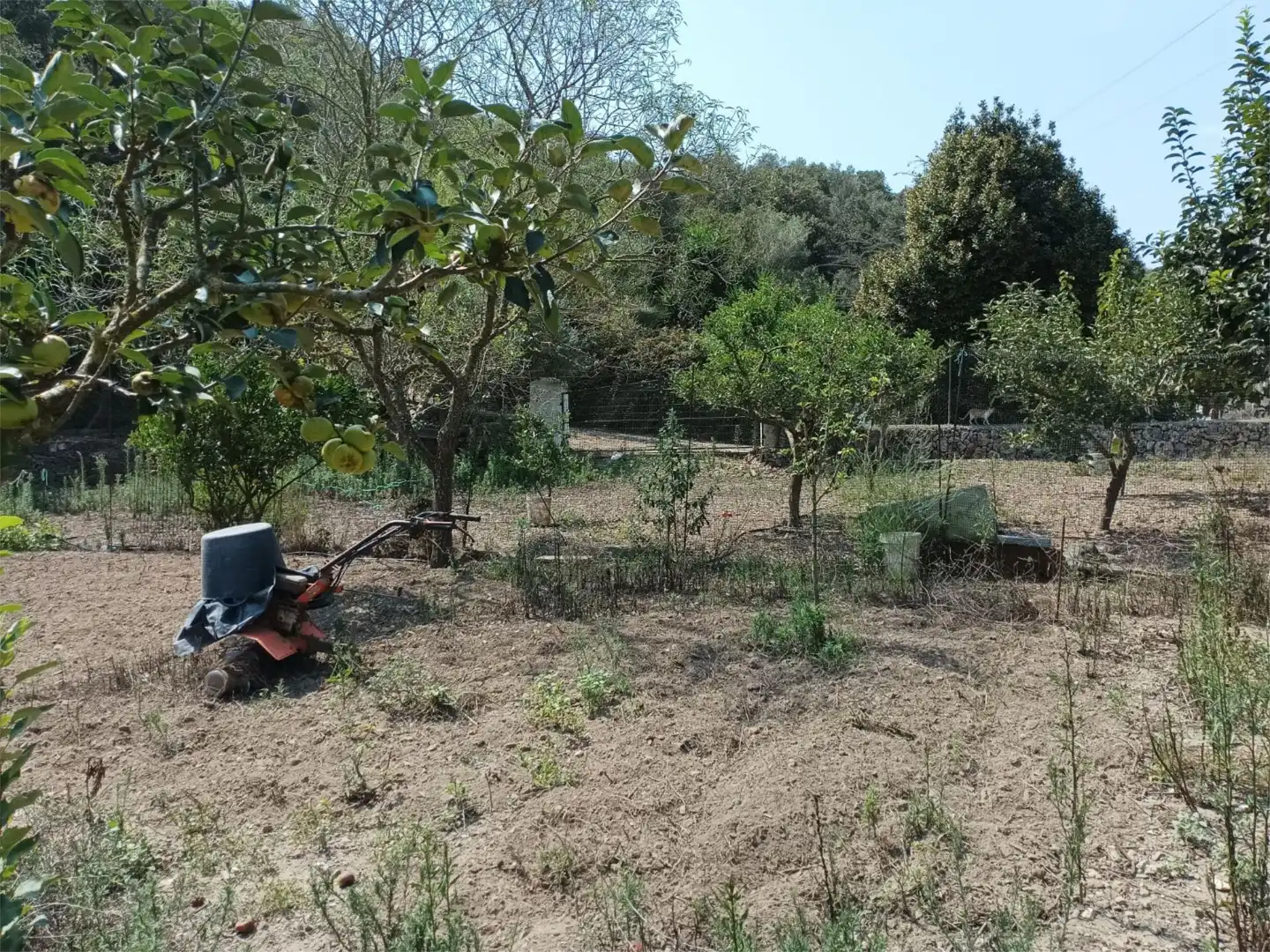 Traster en venda en Maó - Mahón