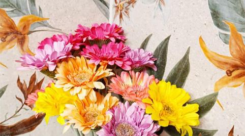 Apartment to rent in Calle Virgen de las Injurias, 8, Goteta, Alicante - image 2 Photo 2 of Apartment to rent in Calle Virgen de las Injurias, 8, Goteta, Alicante