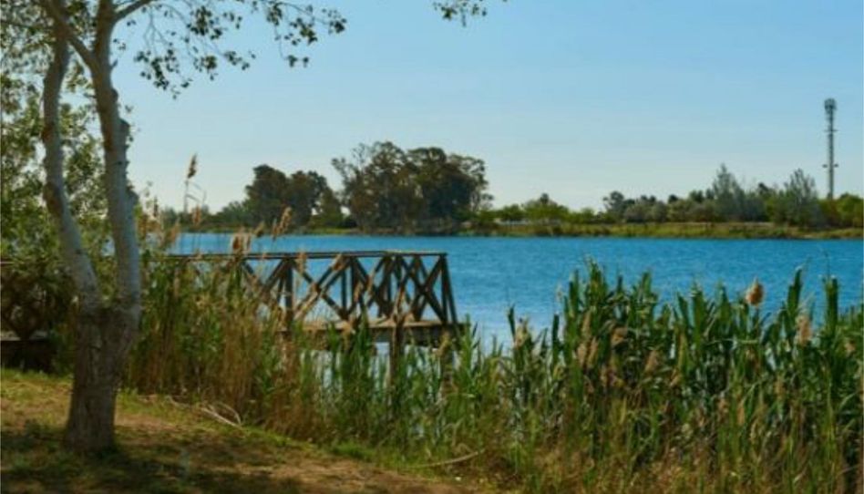 Piso en venta en Passatge Sant Jaume, 7e, Deltebre, Tarragona - imagen 1 Foto 1 de Piso en venta en Passatge Sant Jaume, 7e, Deltebre, Tarragona