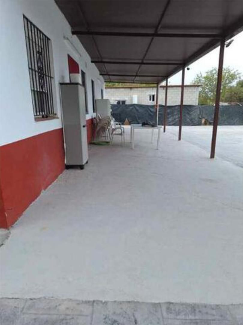 Terrassa de Casa adosada de lloguer en Coria del Río amb Terrassa, Piscina i Moblat
