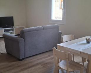 Sala d'estar de Pis de lloguer en Galdakao amb Parquet, Moblat i Forn