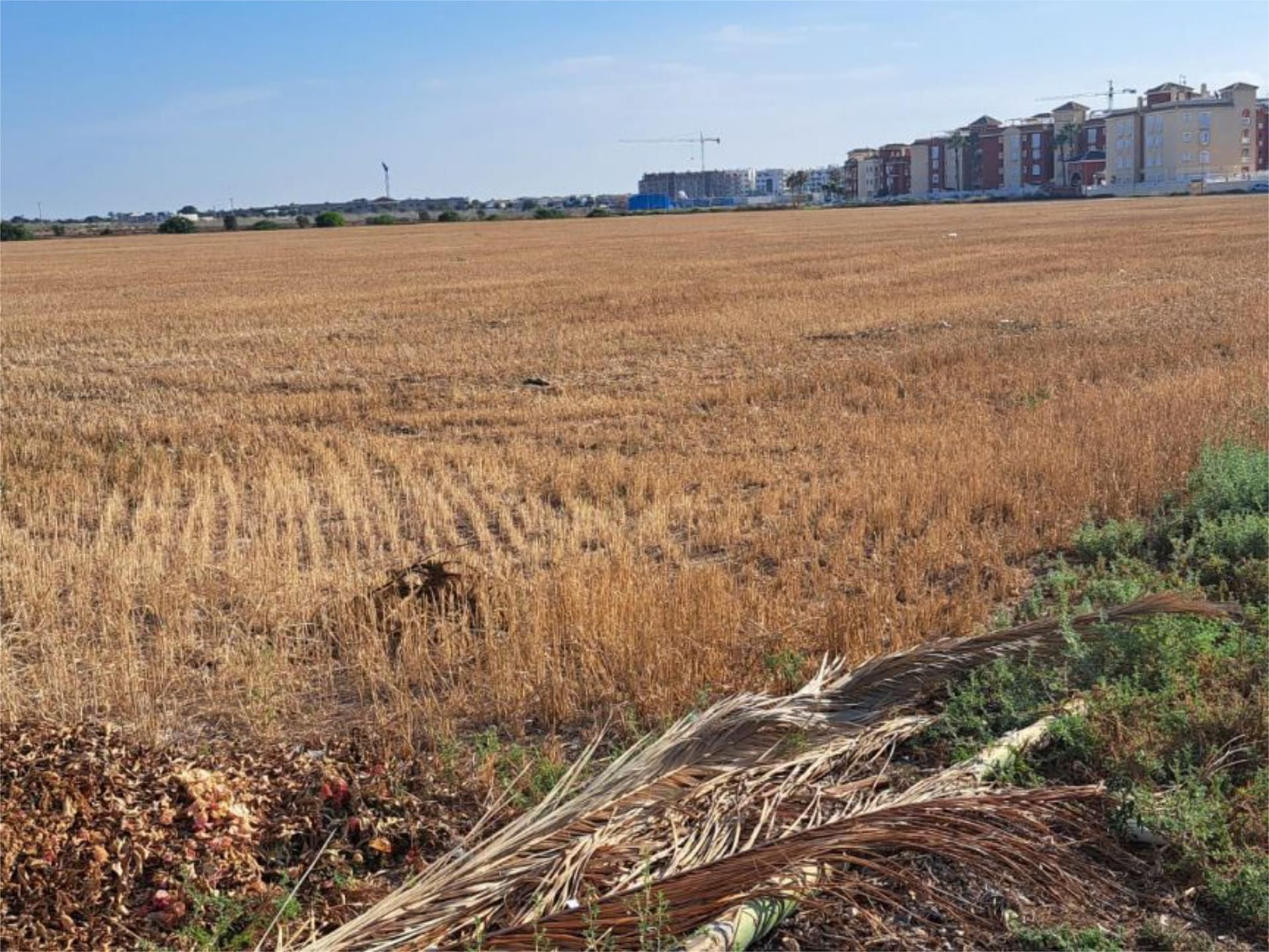 Land for sale in Los Alcázares