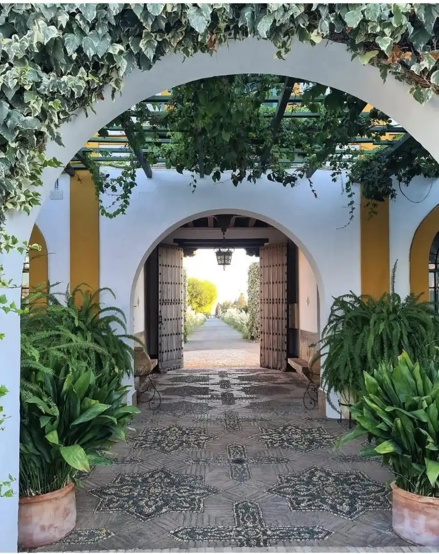 Casa o xalet en venda a A-8059, 2, Loreto Casa o xalet en venda en Espartinas amb Terrassa