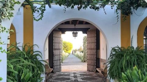 Casa o xalet en venda a A-8059, 2, Loreto, Sevilla - imatge 4 Foto 4 de Casa o xalet en venda a A-8059, 2, Loreto, Sevilla