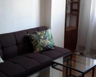 Sala d'estar de Pis de lloguer en Santander amb Calefacció, Parquet i Moblat