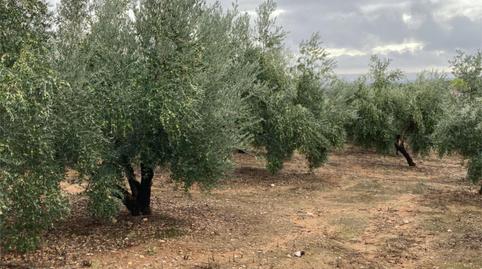 Photo 2 of House or chalet for sale in Extrarradio Diseminados, 394, Adamuz, Córdoba