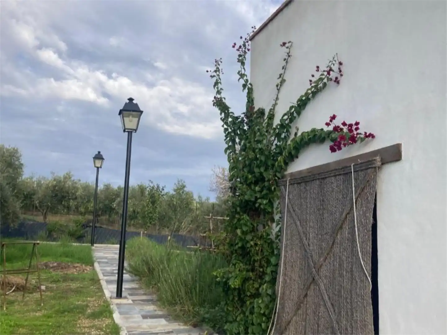 Casa o chalet en venta en Extrarradio Diseminados, 394, Adamuz Jardín de Casa o chalet en venta en Adamuz con Aire acondicionado, Calefacción y Jardín privado
