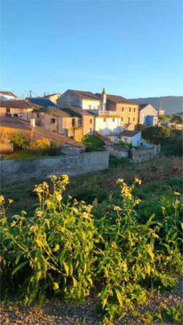 Vista exterior de Casa o chalet en venta en Ribadeo con Jardín privado