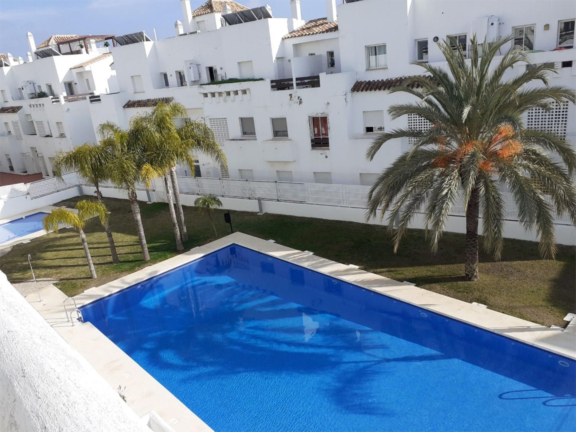 Swimming pool of Flat to share in Estepona  with Private garden, Terrace and Swimming Pool