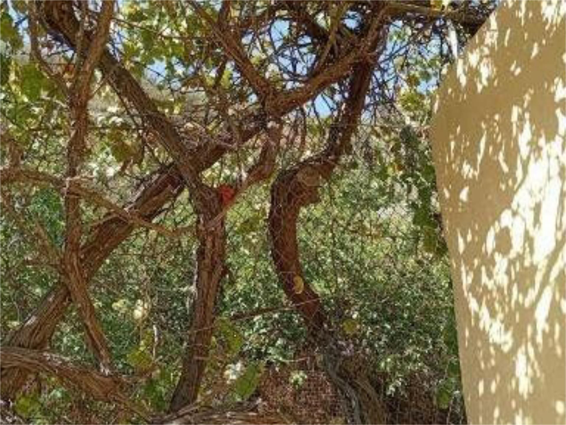 Flat for sale in Telde  with Private garden, Terrace and Storage room