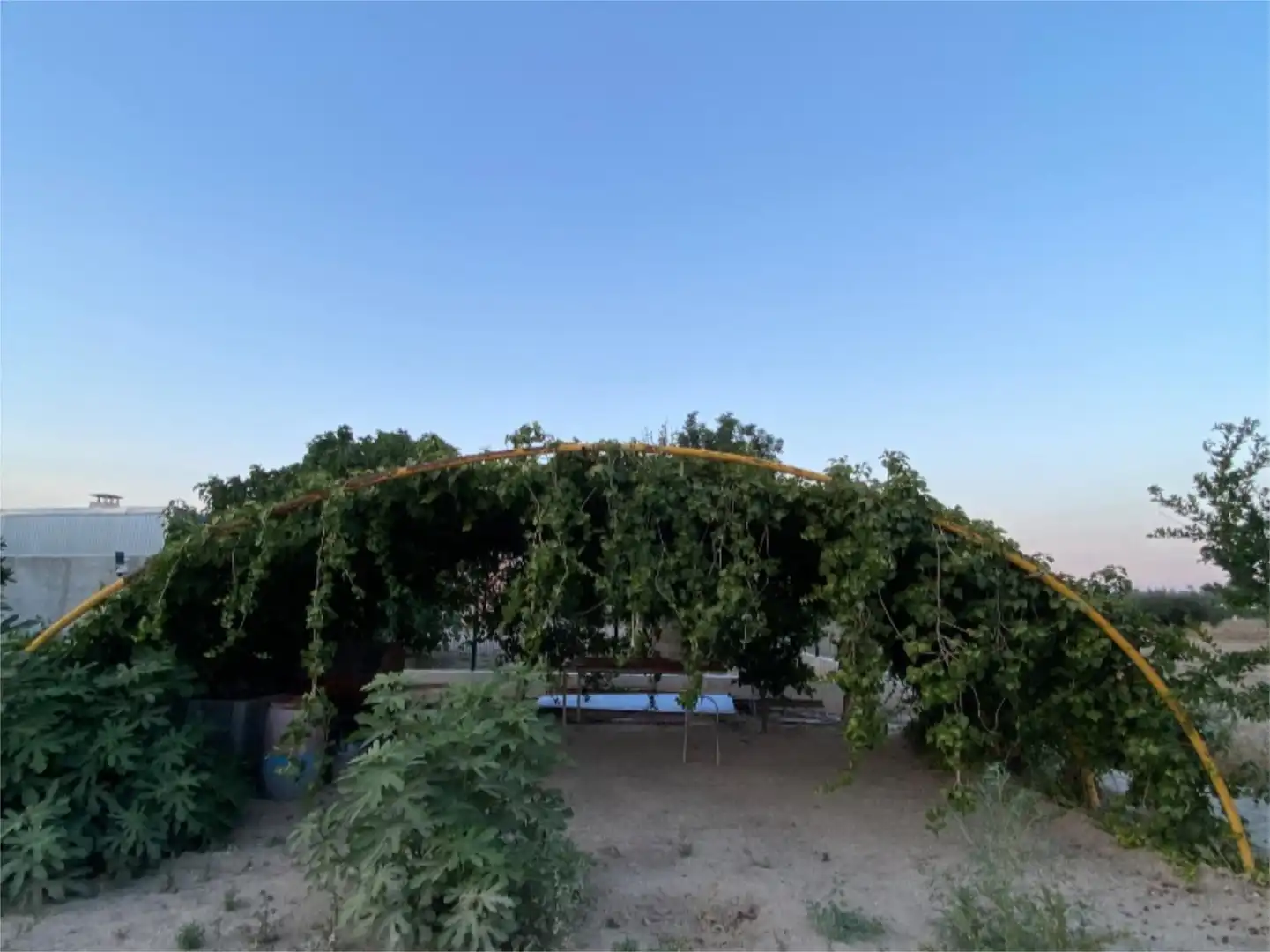 Jardín de Urbanizable en venta en Lorca