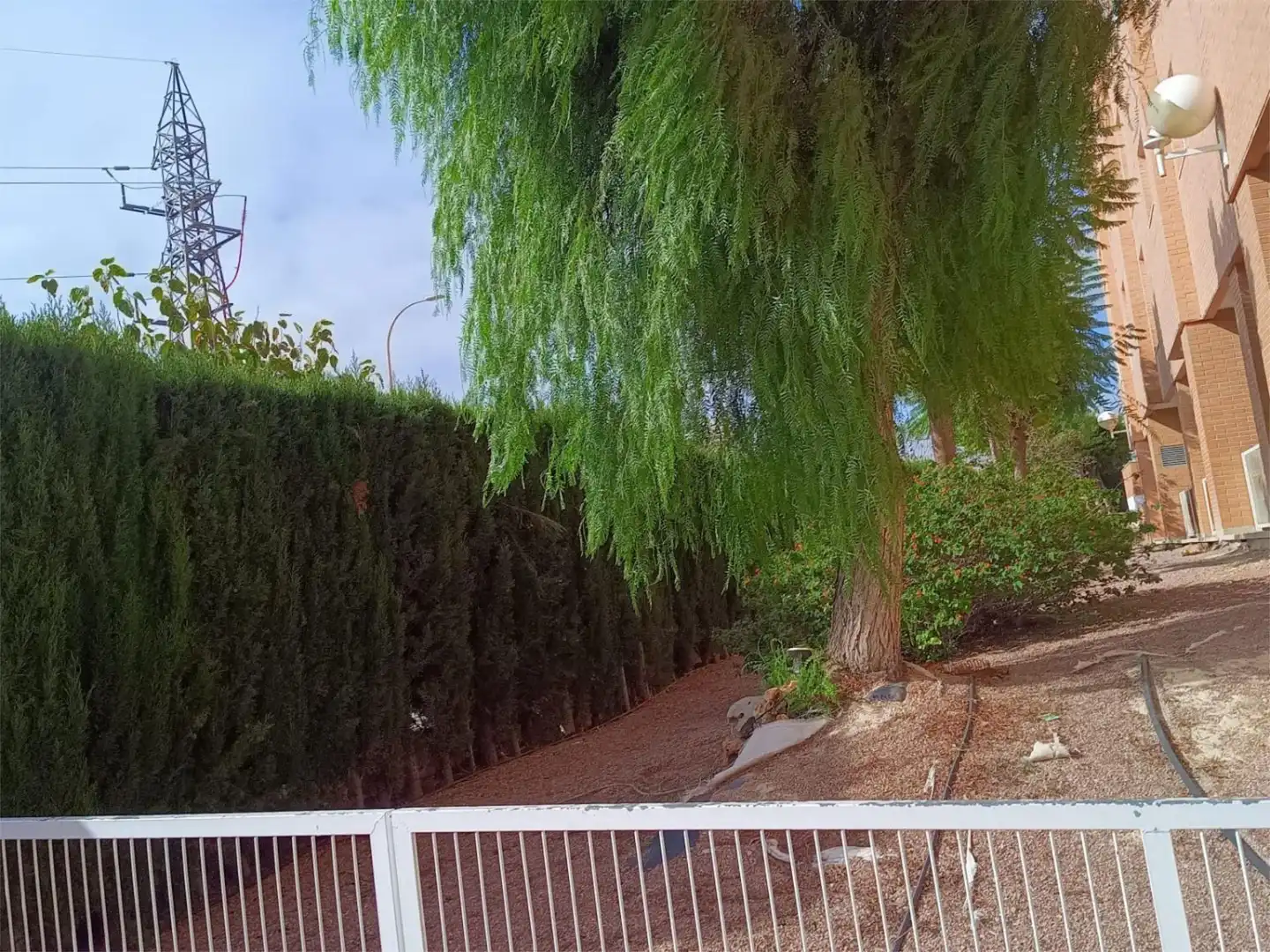 Vista exterior de Apartament de lloguer en Alicante / Alacant amb Jardí privat, Terrassa i Piscina
