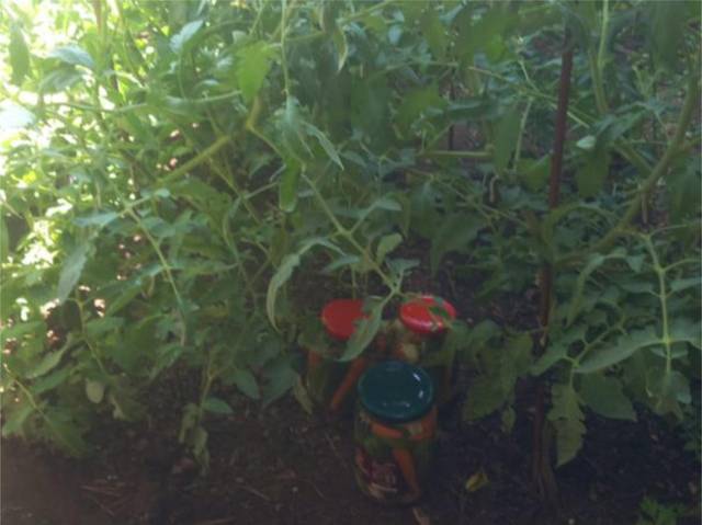 Piso en Venta en Calle del Muro, 41 en Almonacid de la Sierra