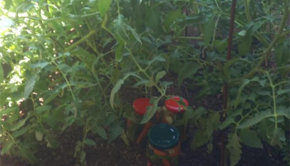 Flat for sale in Calle del Muro, 41, Almonacid de la Sierra, Zaragoza - image 1 Photo 1 of Flat for sale in Calle del Muro, 41, Almonacid de la Sierra, Zaragoza