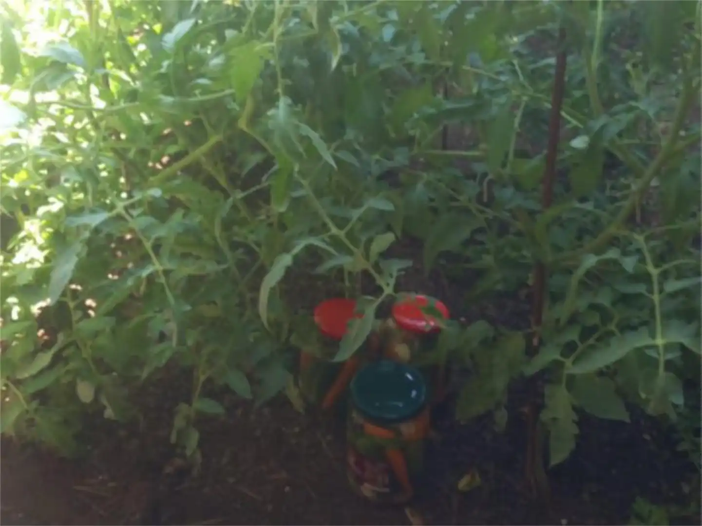 Garten von Wohnung zum Verkauf in Almonacid de la Sierra mit Klimaanlage, Privatgarten und Terrasse