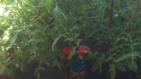 Flat for sale in Calle del Muro, 41, Almonacid de la Sierra, Zaragoza - image 4 Photo 4 of Flat for sale in Calle del Muro, 41, Almonacid de la Sierra, Zaragoza