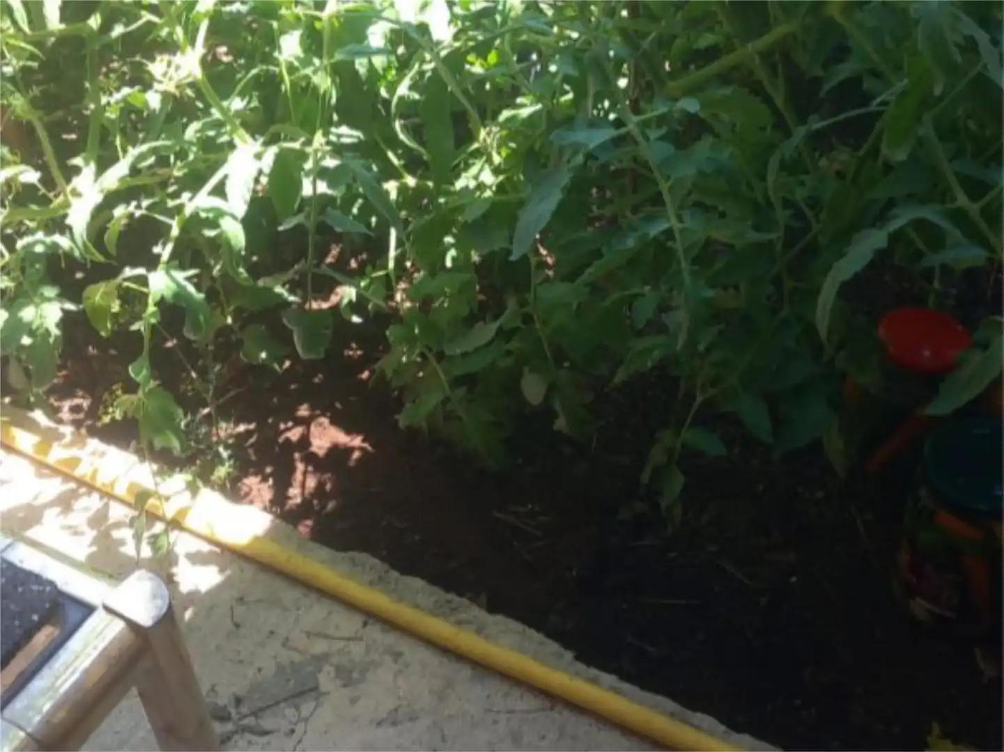 Garten von Wohnung zum Verkauf in Almonacid de la Sierra mit Klimaanlage, Privatgarten und Terrasse
