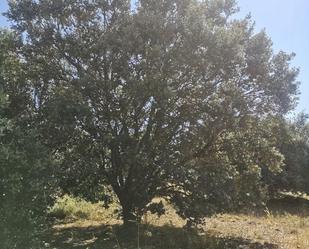 Non-constructible Land for sale in Segovia Capital