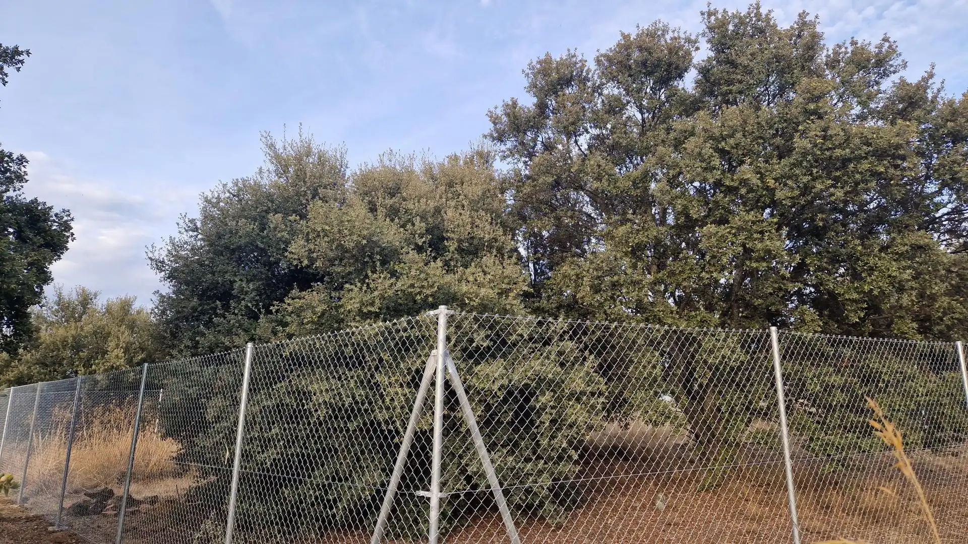 Non-constructible Land for sale in Calle las Huertas, El Cerro - Carretera de San Rafael Non-constructible Land for sale in Segovia