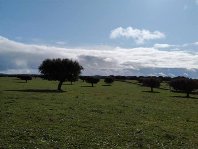 Terreno en Venta en Finca Corbacera, 3 en Vecinos