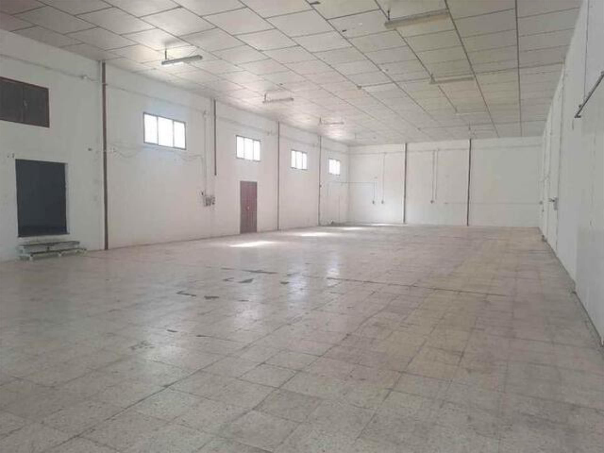 Nau industrial de lloguer en Lucena