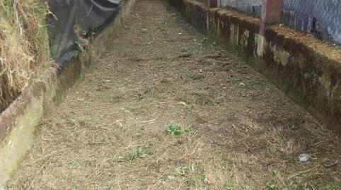 Foto 2 de Finca rústica en venda a Rúa Manuel de Castro, 34, As Travesas - Balaídos, Pontevedra